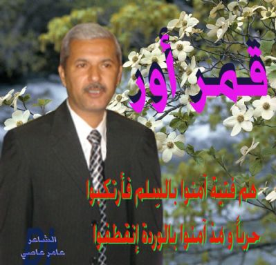 الشاعر عامر عاصي